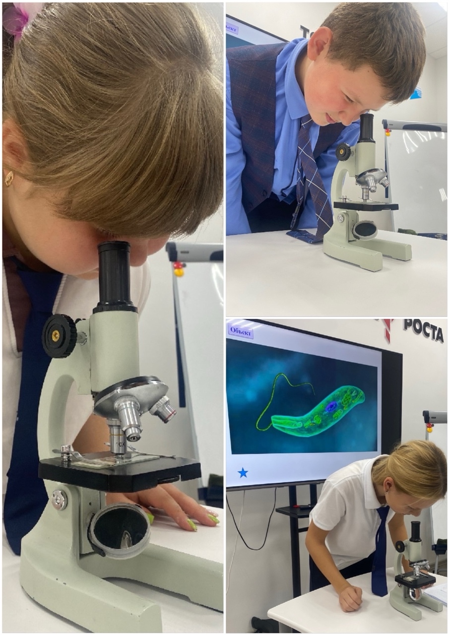 А вы знали, что нидерландский натуралист Антони ван Левенгук в 17 веке создал простейший микроскоп?.