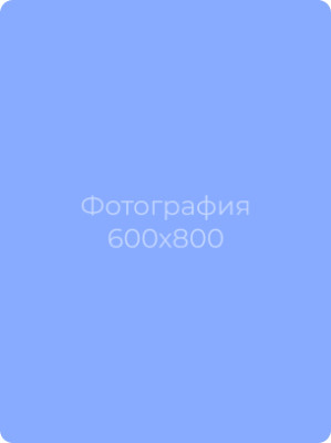 Милосердова Ирина Владимировна Милосердова Ирина Владимировна